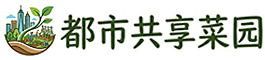私集同城